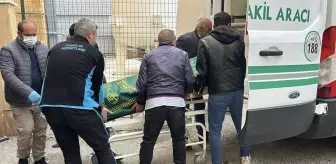 Sivas'ta 2 çocuk annesi keneden öldü