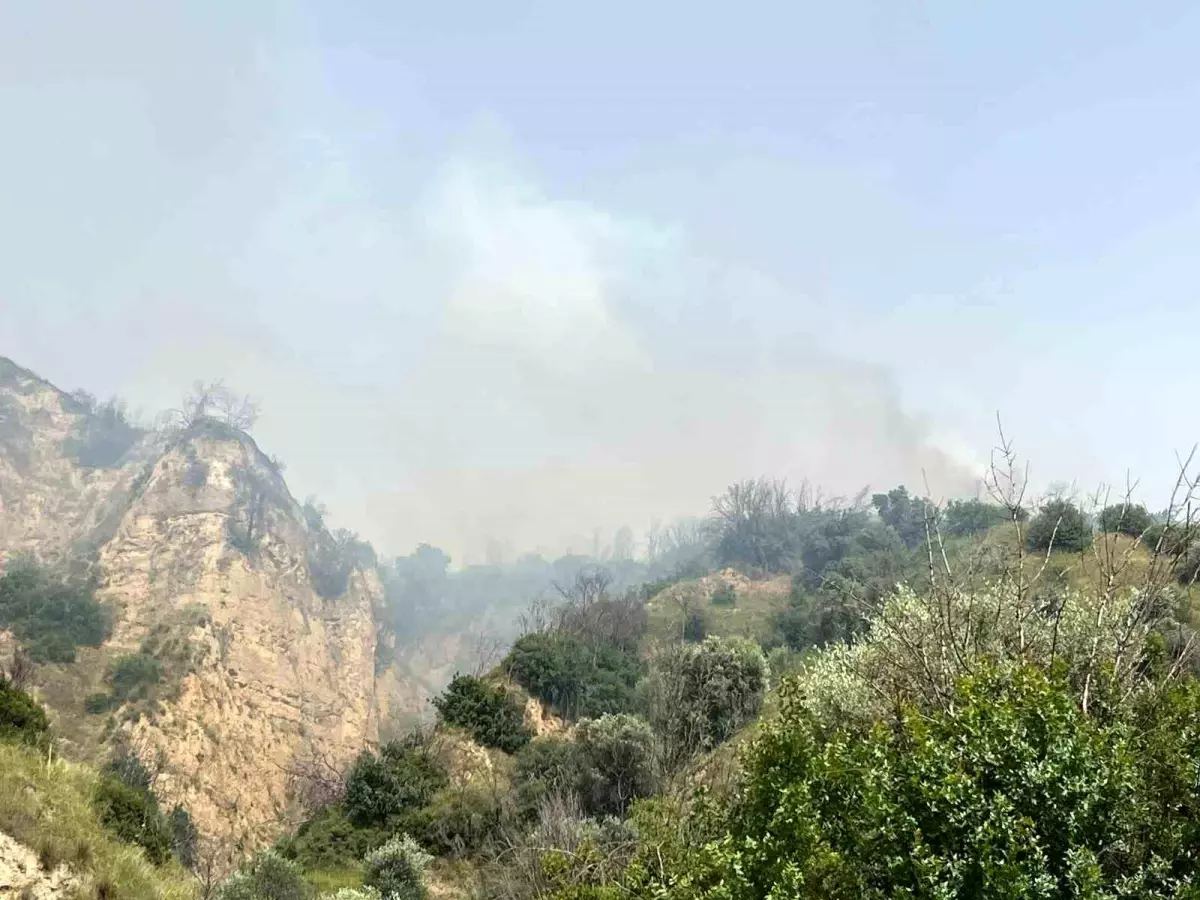 Aydın'da Zirai ve Otluk Alanda Yangın Çıktı