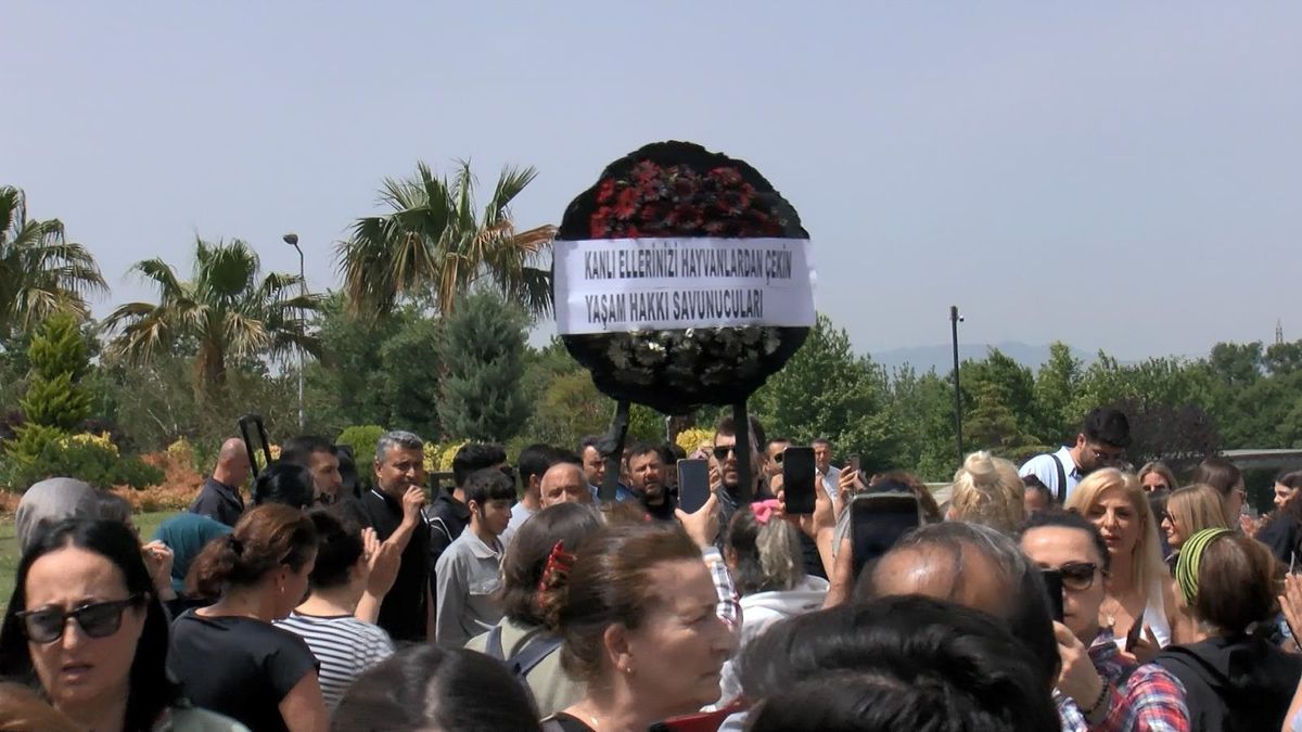 Bursa'da Hayvan Barınağında Öldürme İddialarına Tepki