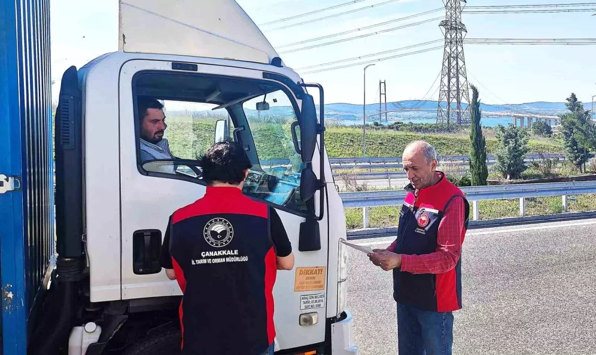 Çanakkale'de Kurban Bayramı Öncesi Hayvan Denetimleri Sürüyor