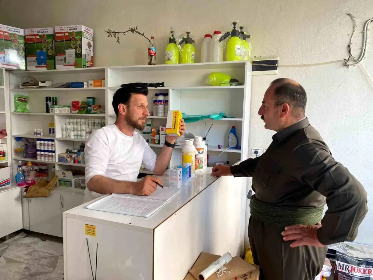 Hakkari'de Şap Hastalığı Nedeniyle Hayvan Hareketlerine Sıkı Tedbir