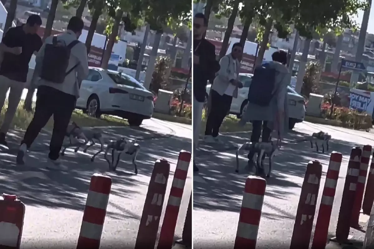 Görüntü İstanbul'dan! Tasma taktıkları robot köpekleri sokakta gezdirdiler