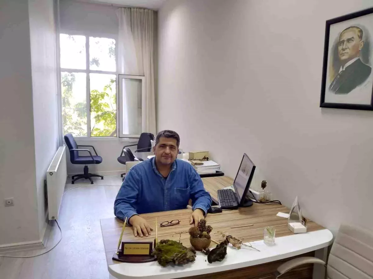 Türkiye'nin Ormancılığında Yeni Dönem: İklime Dirençli Ormancılık Projesi