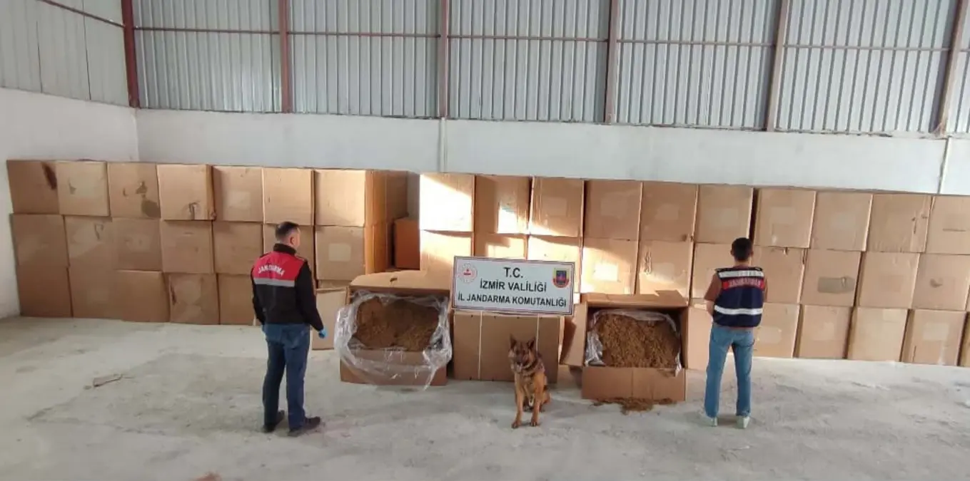Menderes'te 6 Ton Kaçak Tütün Ele Geçirildi