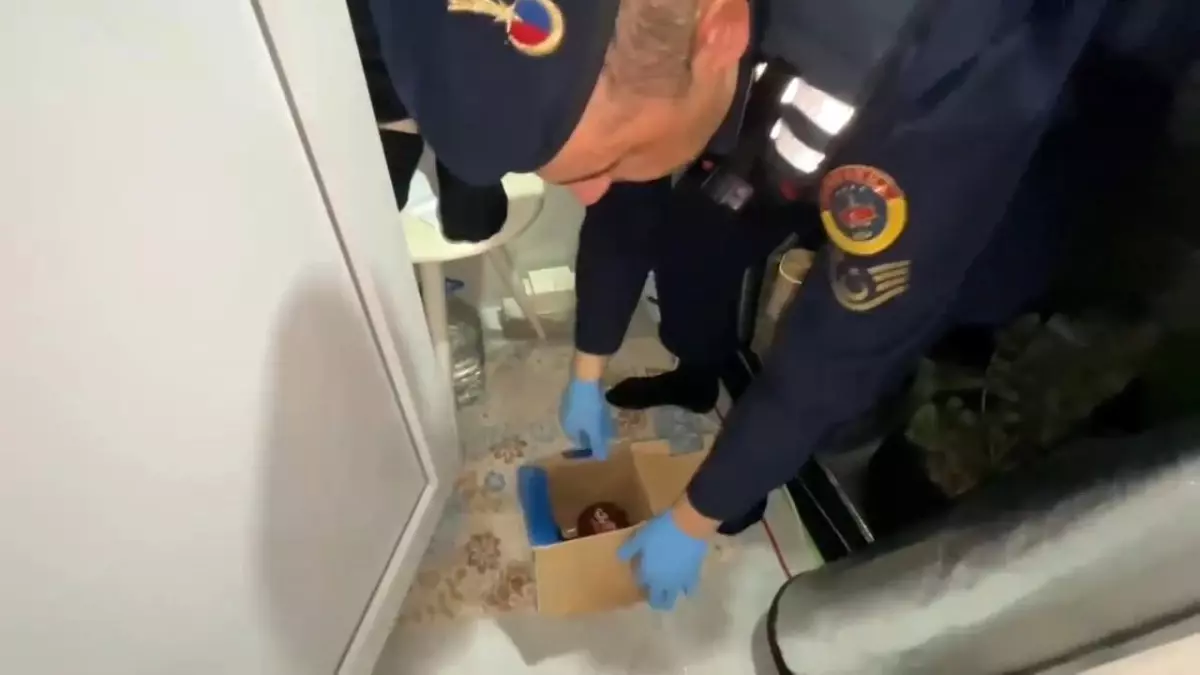 Samsun'da Evinde Uyuşturucu Yetiştiren Şahıs Yakalandı