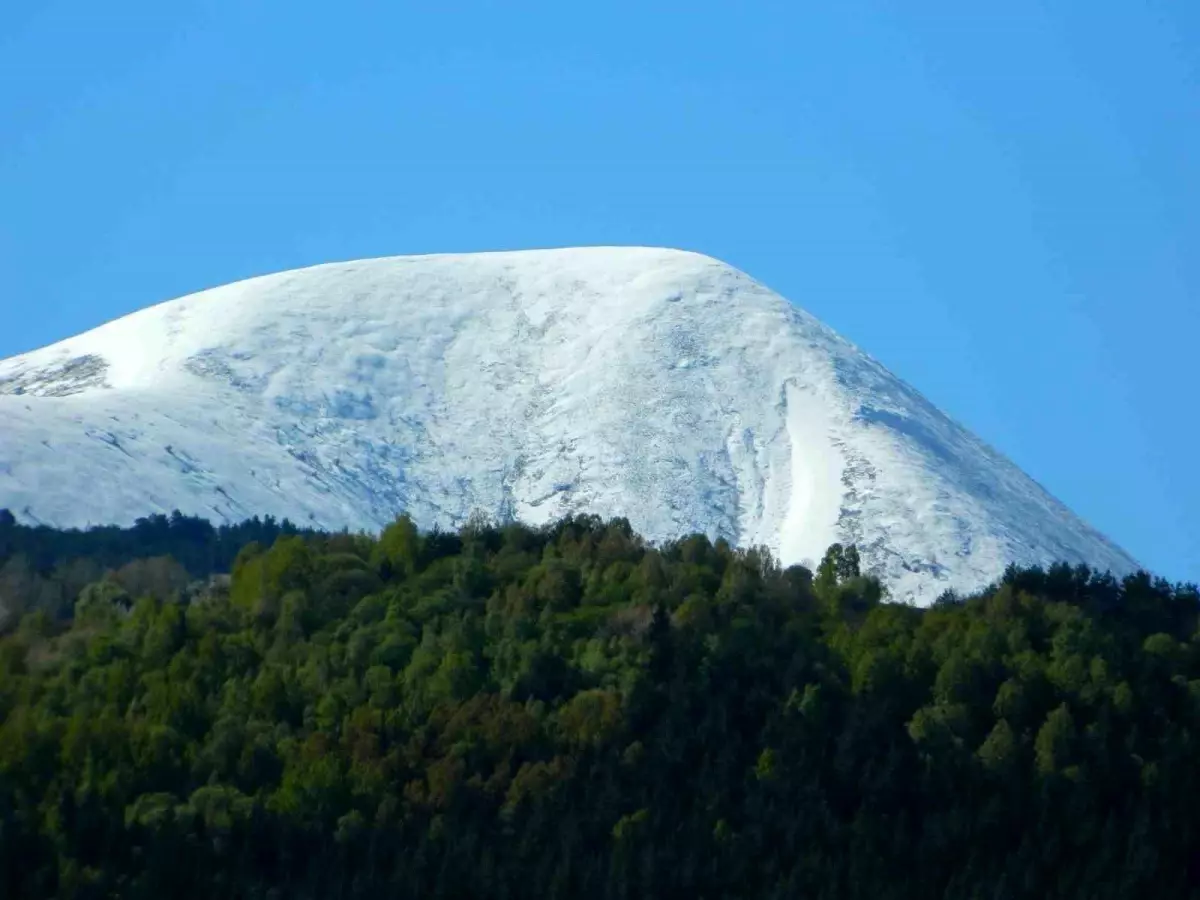Posof'ta Mevsim Normalleri Altında Hava Sıcaklıkları