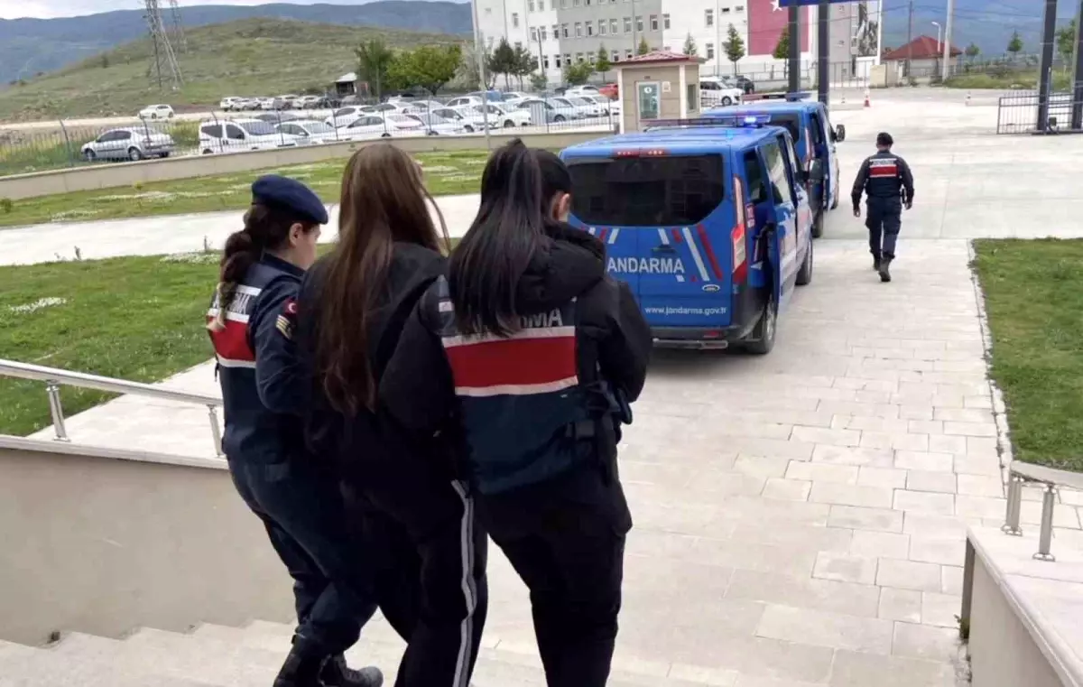 Sahte Araç Kiralama Çetesi Çökertildi: 19 Gözaltı, 160 Milyon TL Dolandırıcılık