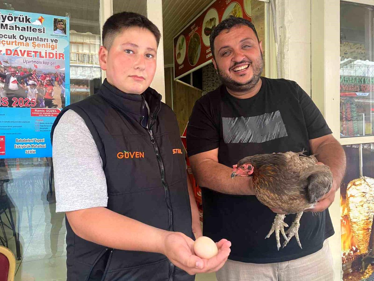 Sokaktaki Tavuk Dönerciye Girdi, Yumurtladı