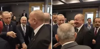 Tiran'da dikkat çeken anlar! Başrolde Erdoğan, Aliyev ve Paşinyan var
