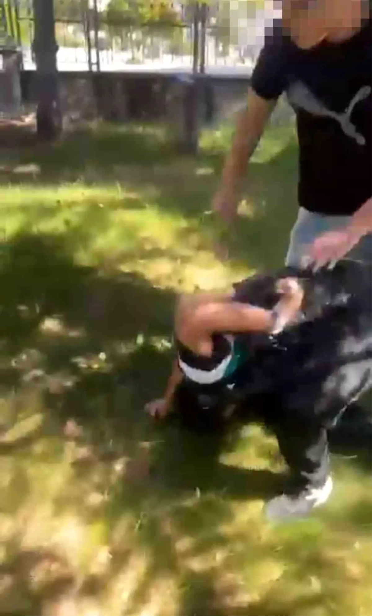 Ankara'da Parkta Darp Olayı: 12 Yaşındaki Çocuk Videoya Alındı