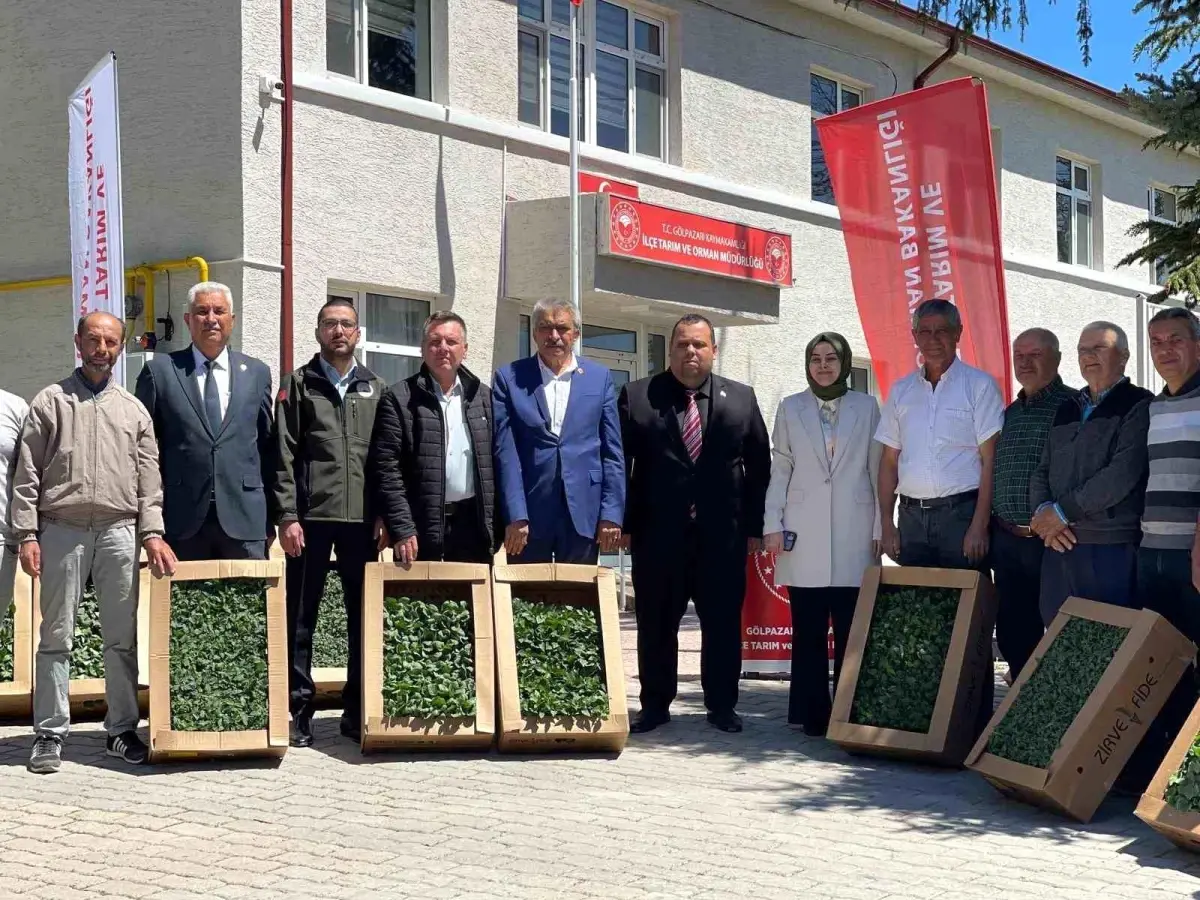 Bilecik'te Yerli ve Milli Tarım Projesi İle Fide Dağıtımı Yapıldı