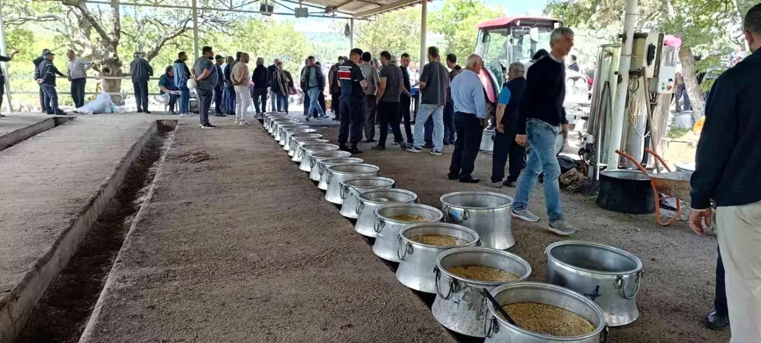 Çanakkale'de 20 Bin Kişilik 'Garipçe Köy Hayrı' Düzenlendi