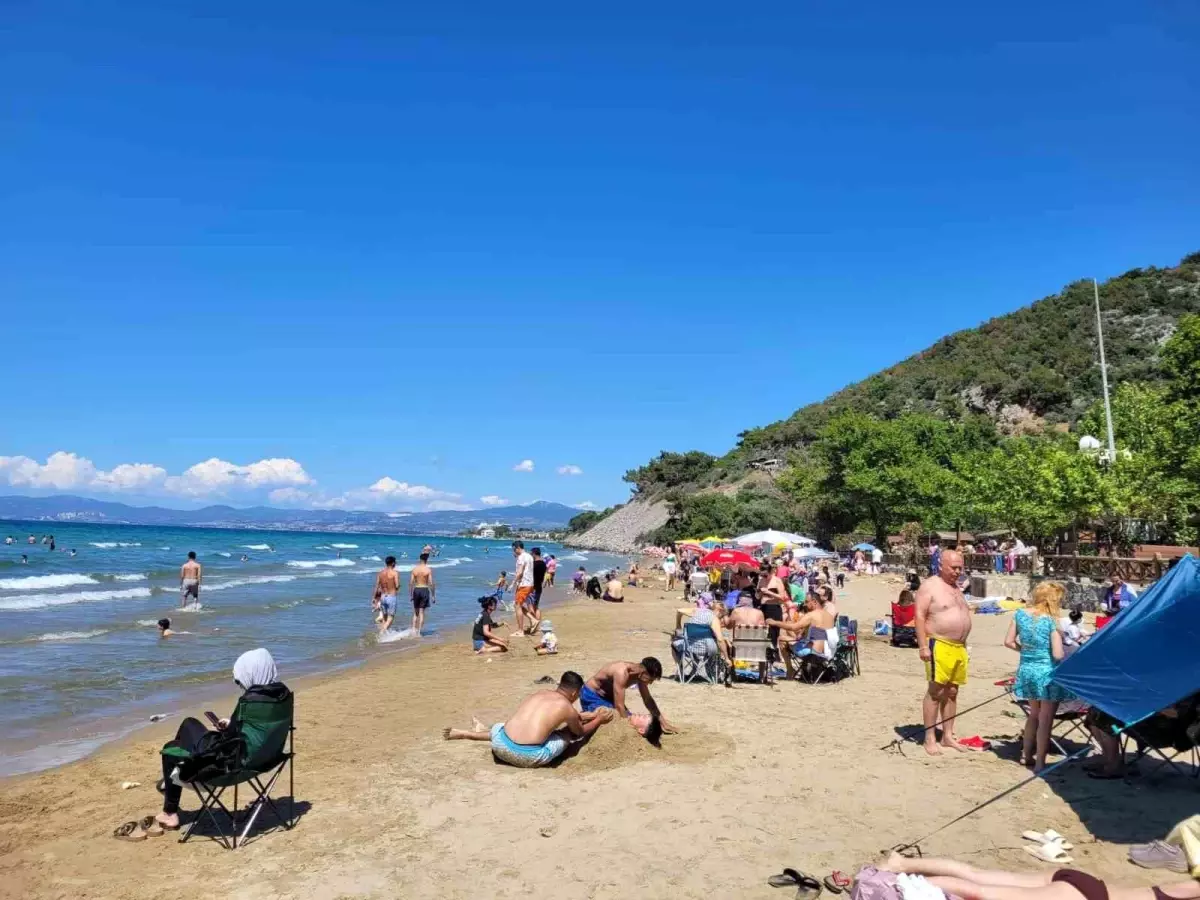 Kuşadası'nda Güneşli Hava Milli Parkı Canlandırdı