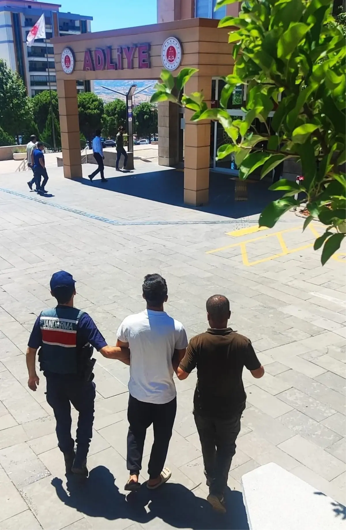 Kahramanmaraş'ta Orman Yangınına Sebep Olan Genç Hakkında 10 Yıla Kadar Hapis İstemi