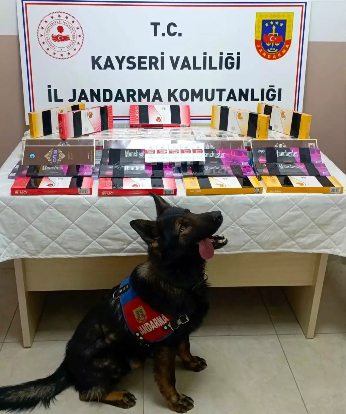 Kayseri'de 700 Paket Kaçak Sigara Ele Geçirildi