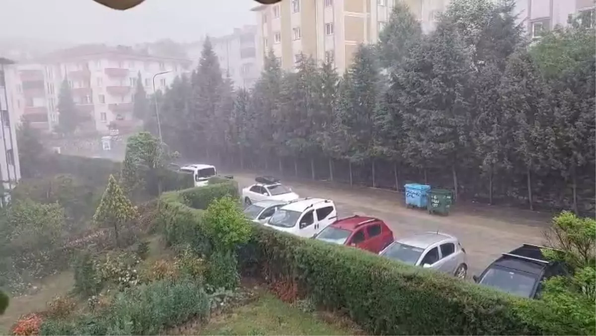 Sakarya'da İki Mevsim Bir Arada Yaşandı