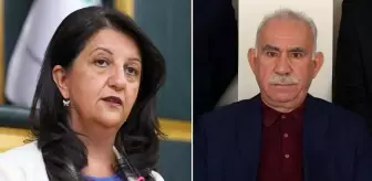 PKK'nın feshi sonrası DEM Parti'den İmralı'ya ilk ziyaret