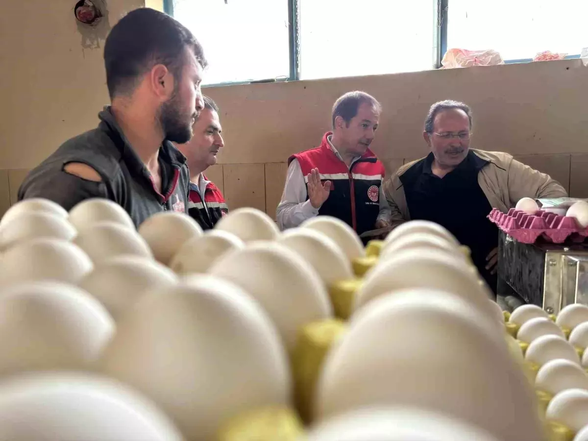 Erzincan'da Hayvancılık Sektöründe Yeni Yatırımlar