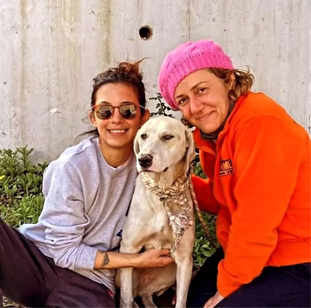 Depremden Kurtarılan Köpek, Gönüllüler Tarafından Sahiplendi