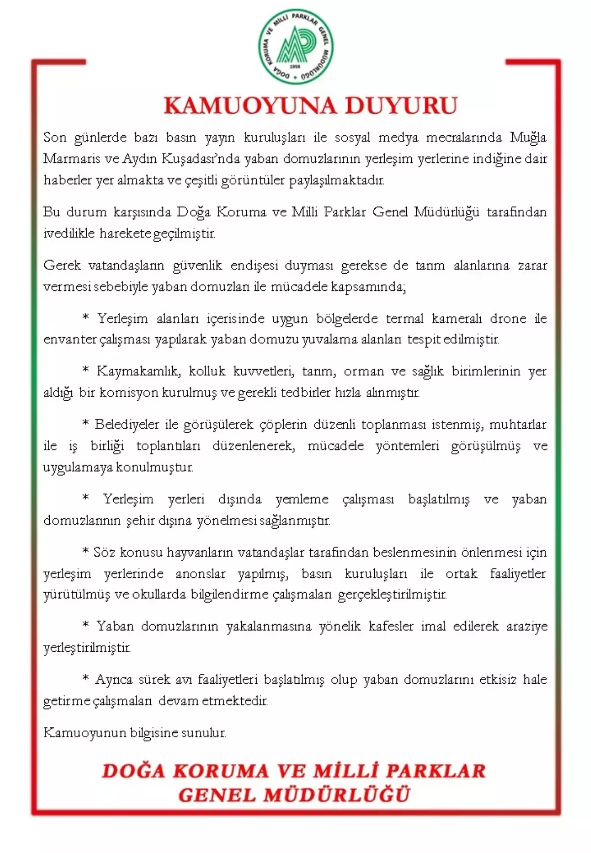 Yaban Domuzları ile Mücadele Başlatıldı