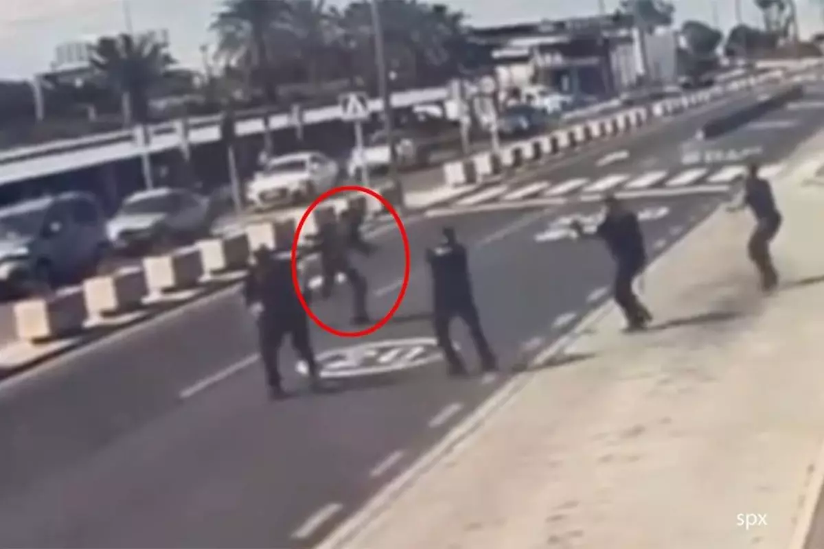 Havalimanında polis ve yolculara saldıran saldırgan, polis tarafından öldürüldü