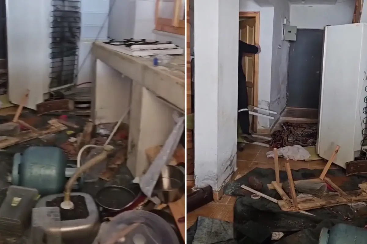 Kış uykusundan uyanan ayılar belediye başkanının evini bastı