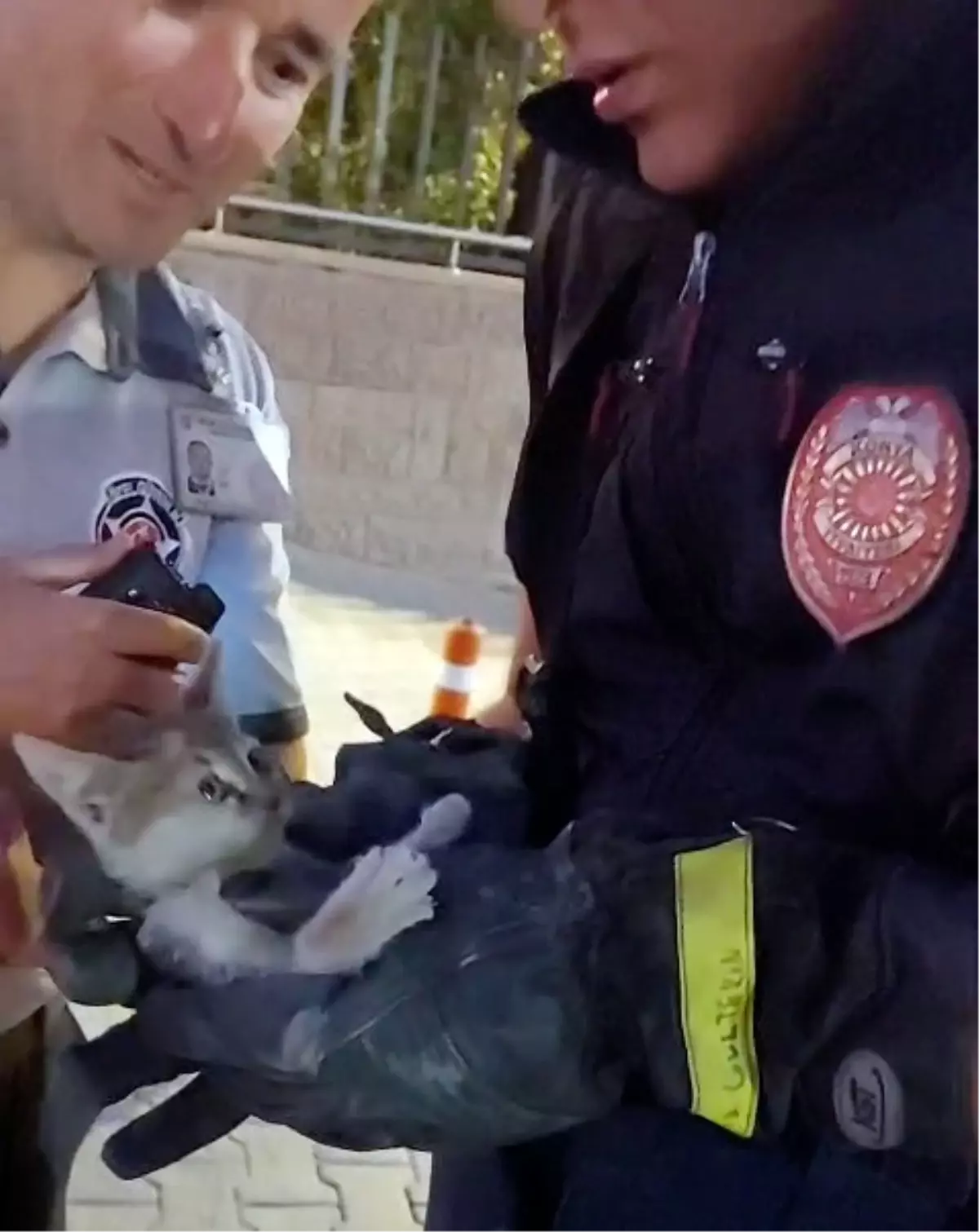 Otomobilin Motorunda Sıkışan Yavru Kedi 4 Saatlik Çalışmayla Kurtarıldı