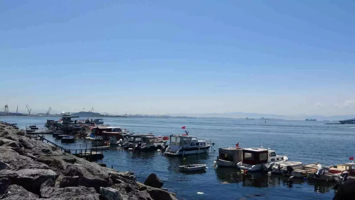 Pendik'te Amatör Balıkçının Oltasına Yavru Köpek Balığı Takıldı