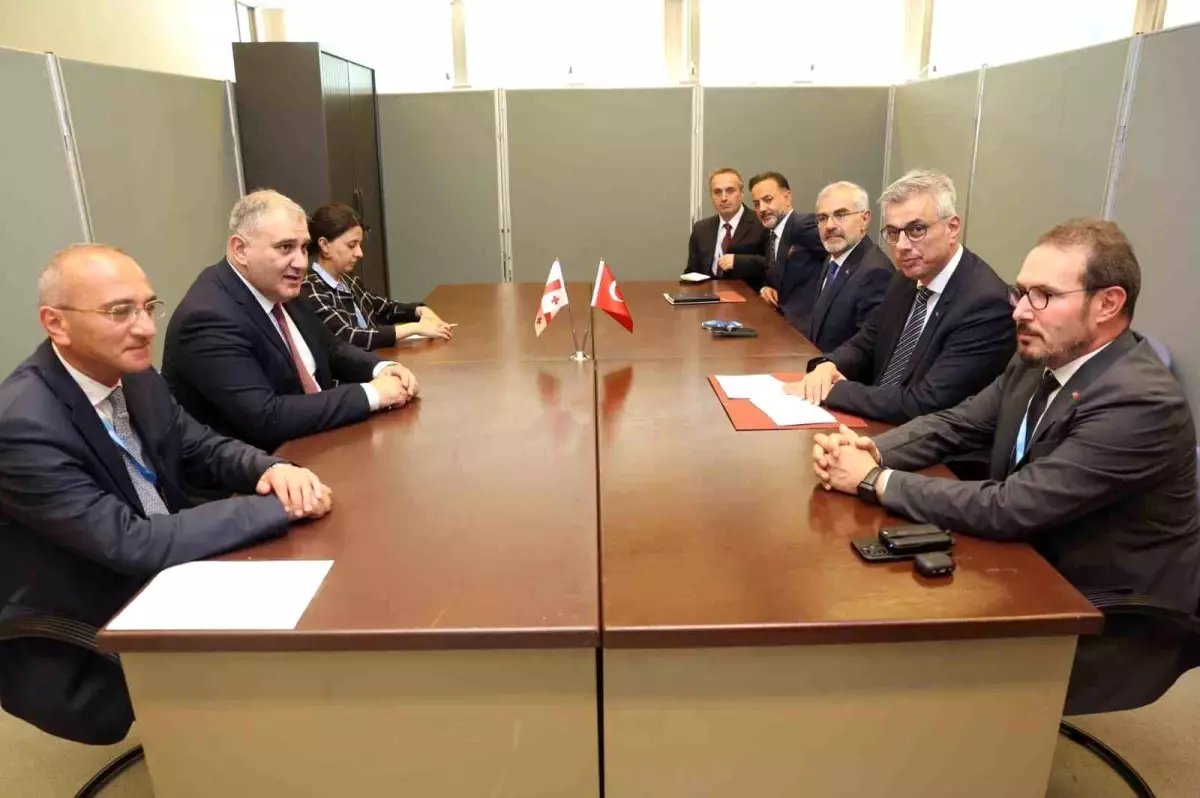 Sağlık Bakanı Memişoğlu, Gürcistanlı Mevkidaşı ile Görüştü