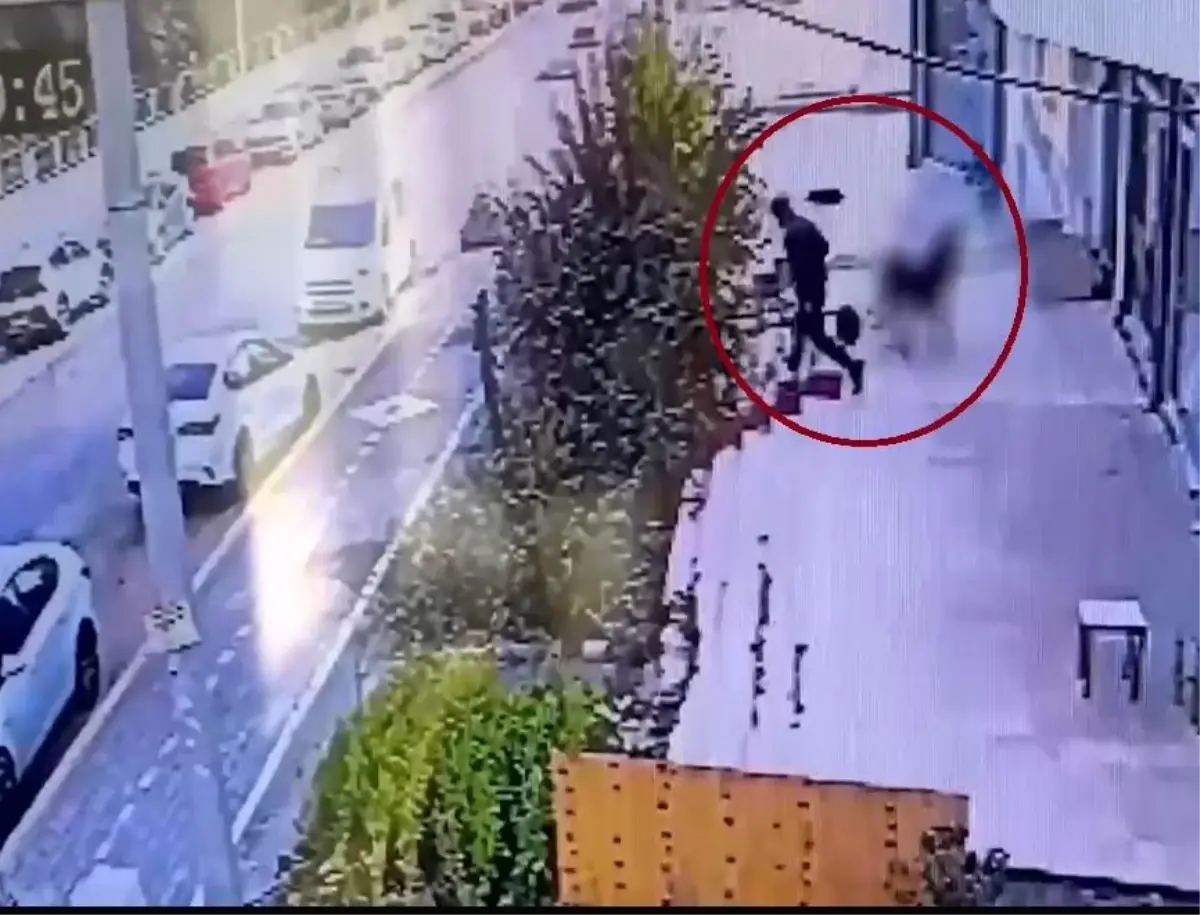 Diyarbakır Merkezli Suç Operasyonu: 32 Gözaltı, 19 Tutuklama
