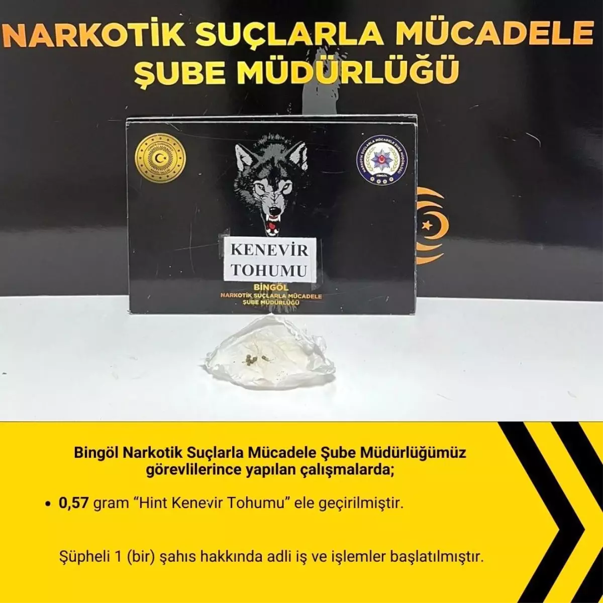 Bingöl'de Narkotik Uygulamalarında Bıçak ve Hint Keneviri Tohumu Ele Geçirildi