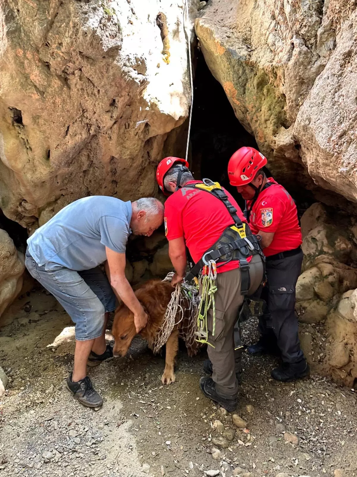 Fethiye'de mahsur kalan köpek AKUT tarafından kurtarıldı