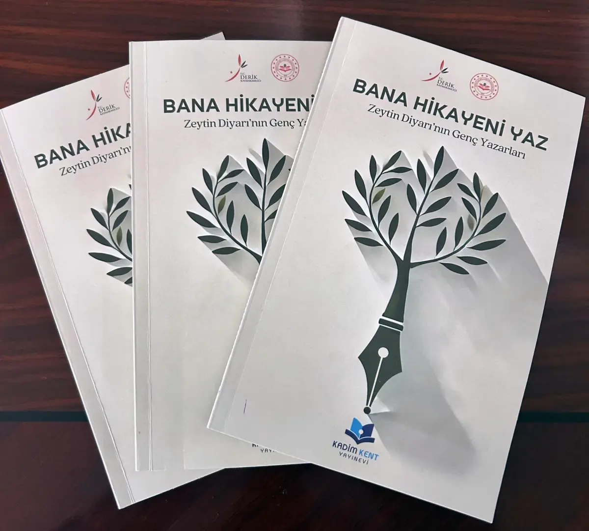 Derik’te Ortaokul Öğrencilerine Hikaye Yarışması: En İyi 25 Hikaye Kitaplaştırıldı