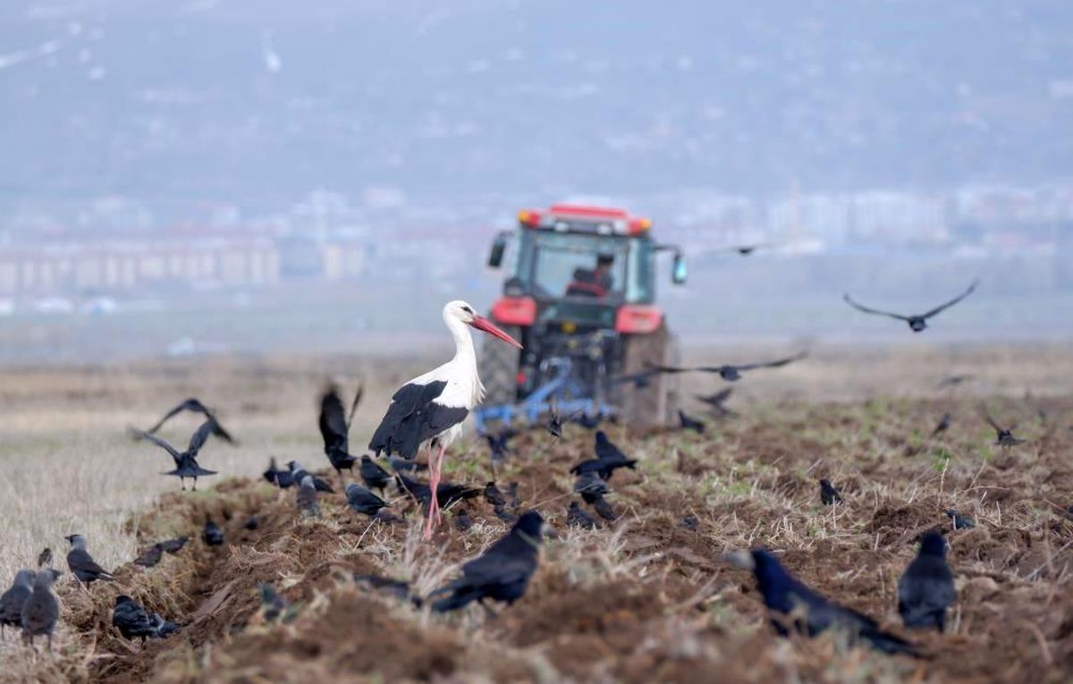 Nisan Ayında Türkiye'de 191 Bin Taşıt Trafiğe Kaydedildi