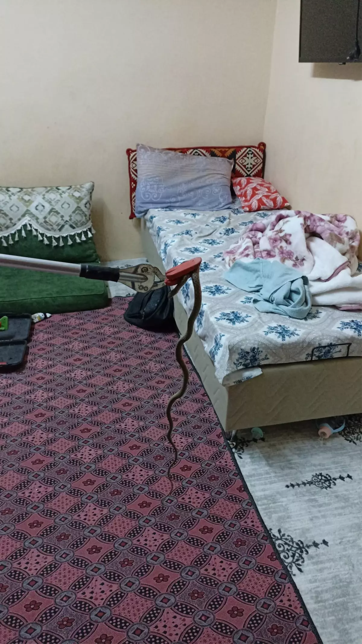 Mersin'de Yılan İtfaiye Ekipleri Tarafından Yakalandı