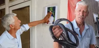 Fenomen ayrancı Yılancı Osman'a bir şok daha! Her yere resmini astı