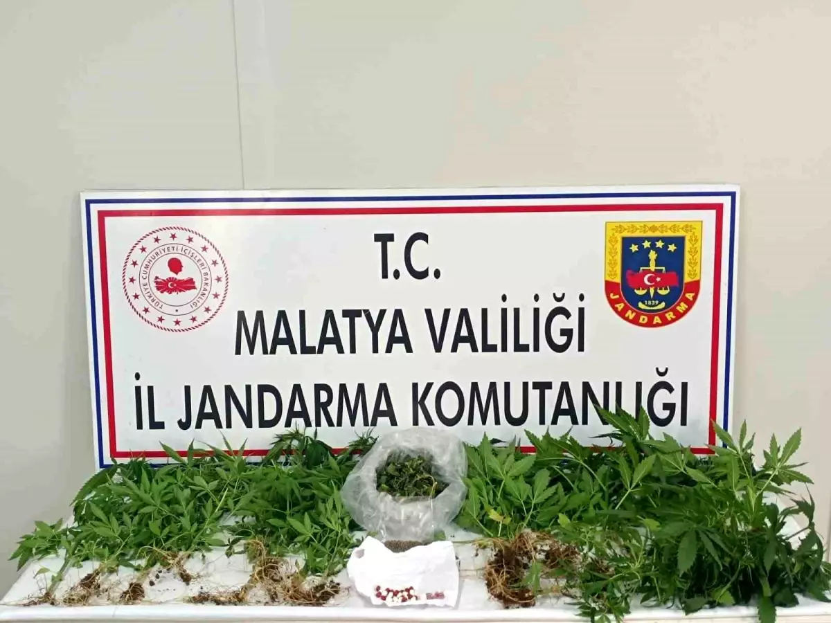 Malatya'da Uyuşturucu Operasyonlarında 3 Tutuklama