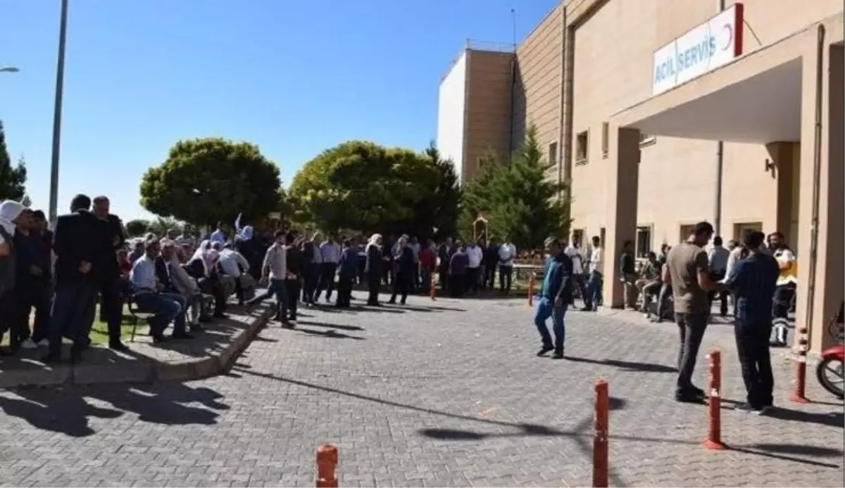 Viranşehir'de Aileler Arasında Kavga: 5 Yaralı, 12 Gözaltı