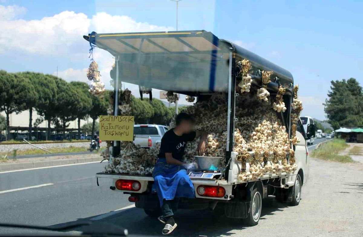 Aydın-Denizli Karayolunda Tehlikeli Sarımsak Yolculuğu