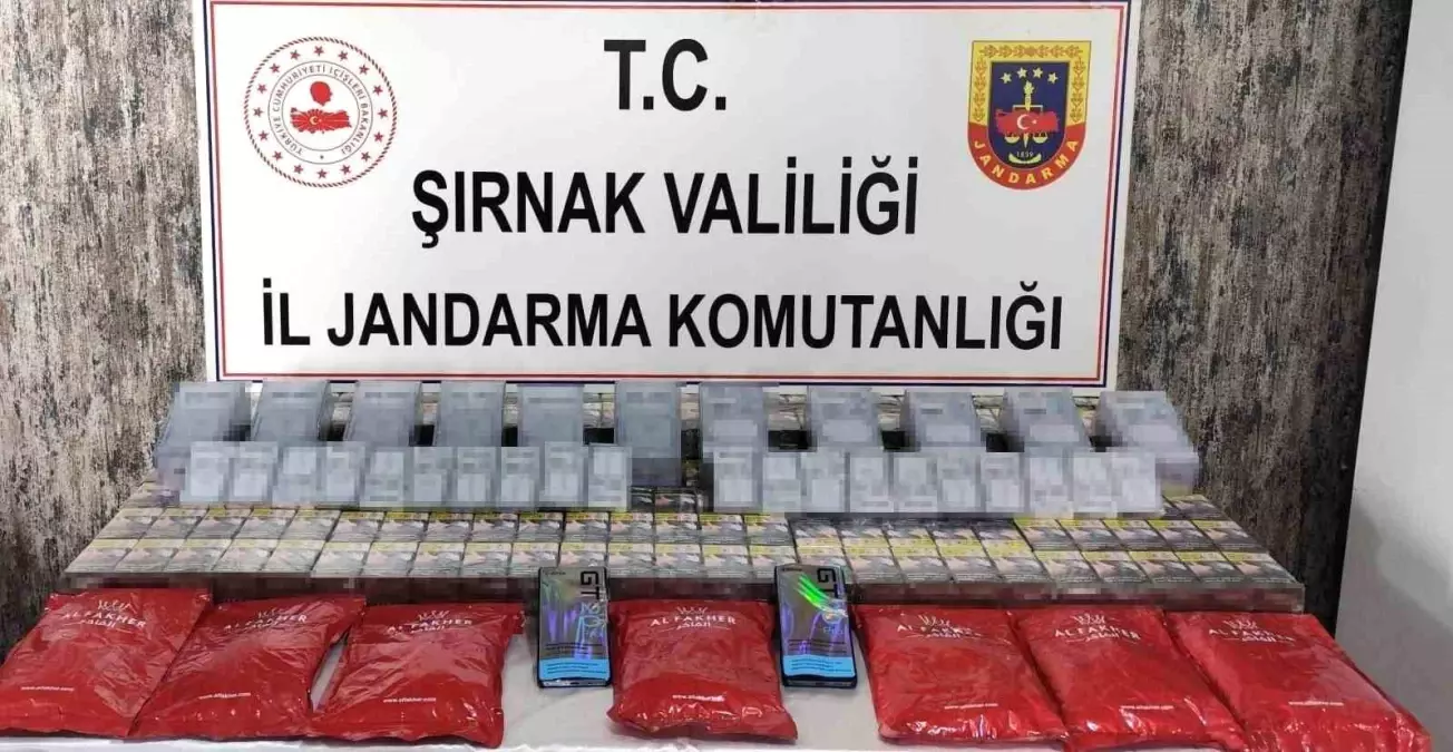 Şırnak'ta Kaçak Ürün Operasyonu: 22 Gözaltı