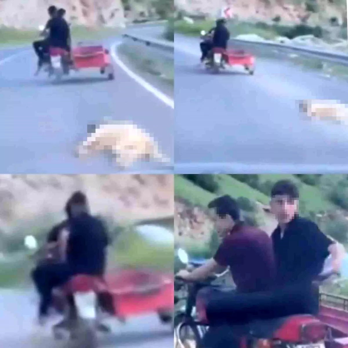 Kahramanmaraş'ta Motosikletle Köpeği Sürükleyen Şahsa 50 Bin TL Ceza
