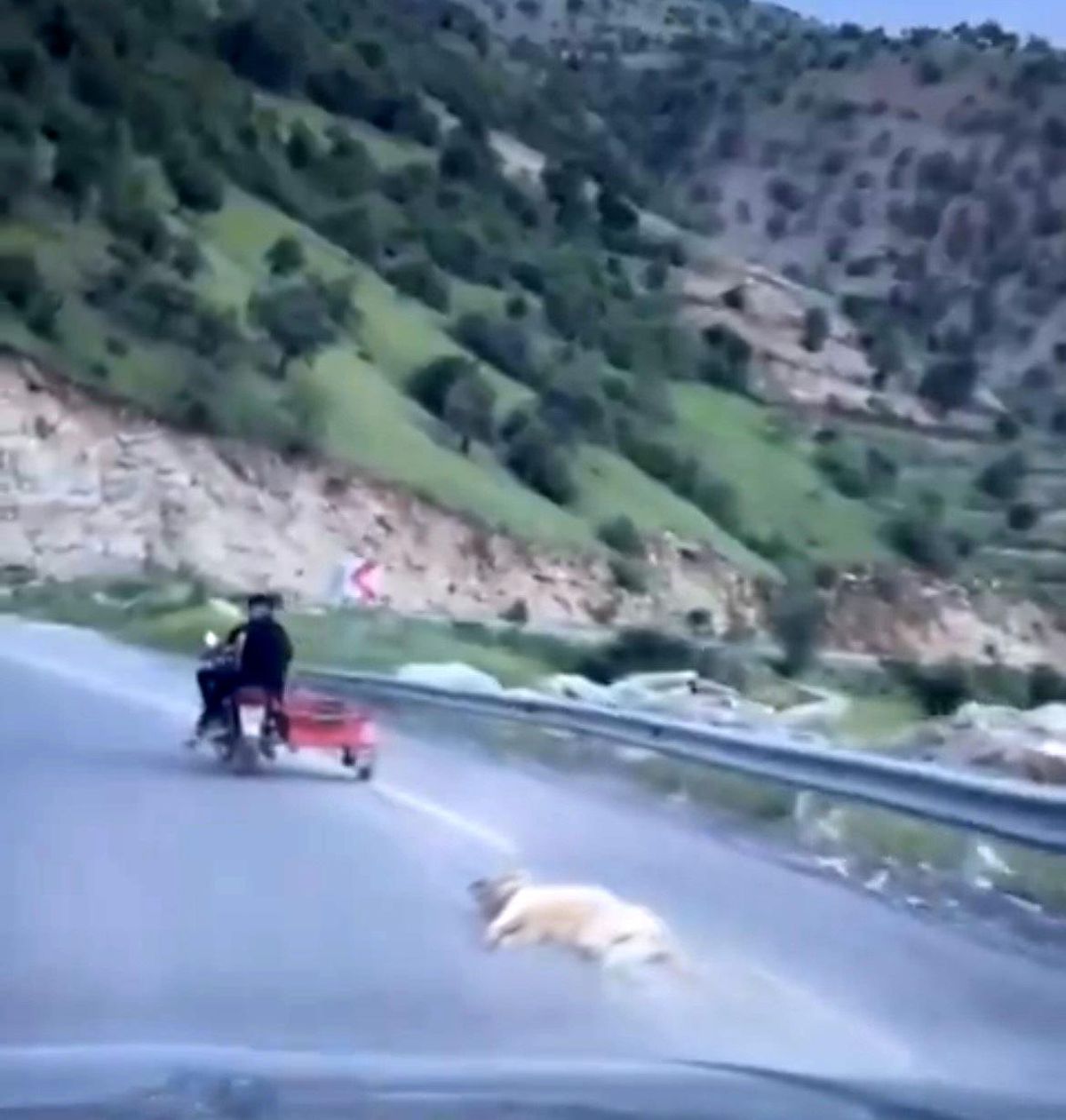 Kahramanmaraş'ta Köpeği Motosiklete Bağlayarak Sürükleyen Şahıslara İşlem Başlatıldı
