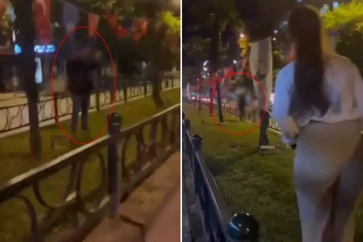 Türk bayrağını yakmaya çalıştı, kadının tepkisini görünce kaçtı