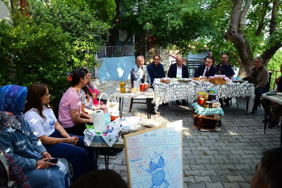 Dünya Arı Günü'nde Edremit'te Kadınlara Arıcılık Eğitimi
