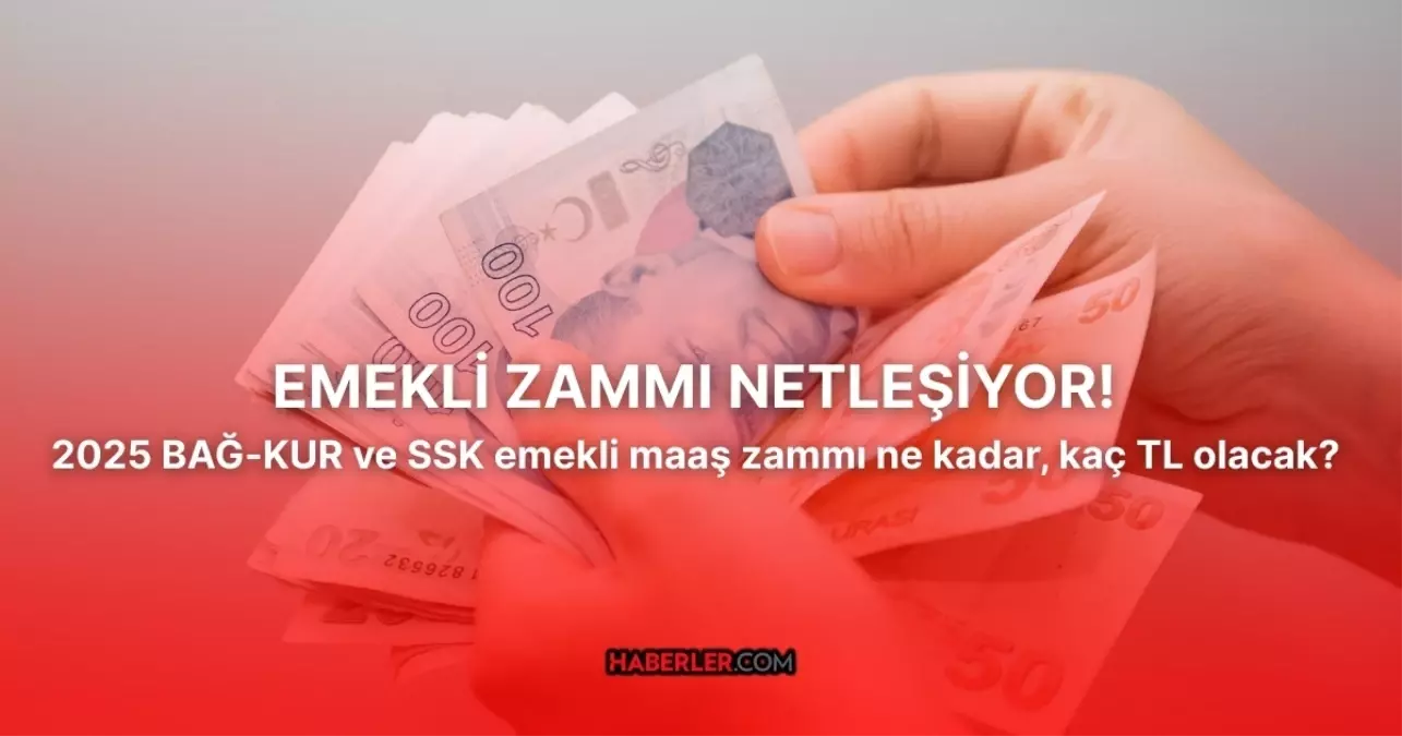 EMEKLİ ZAMMI NETLEŞİYOR! Emekli zammı ne zaman belli olacak? 2025 BAĞ-KUR ve SSK emekli maaş zammı ne kadar, kaç TL olacak?