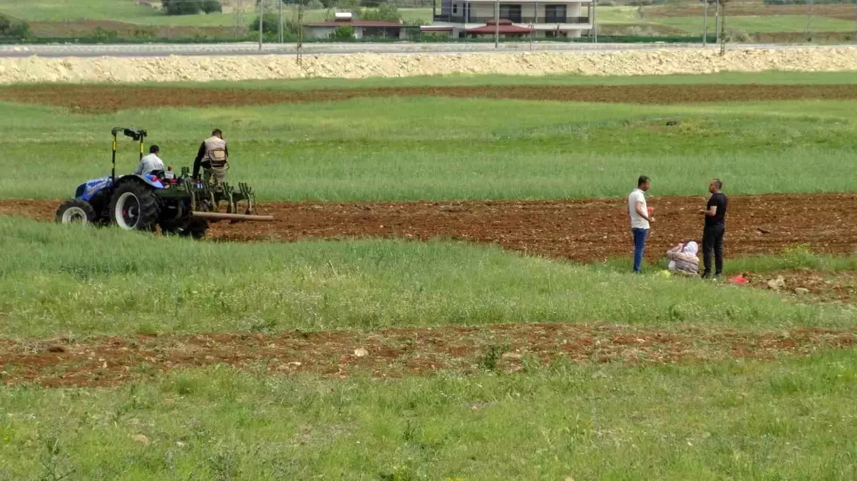 Gercüş'te Çiftçiler Karpuz ve Kavun Tohumlarını Toprağa Ekmeye Başladı