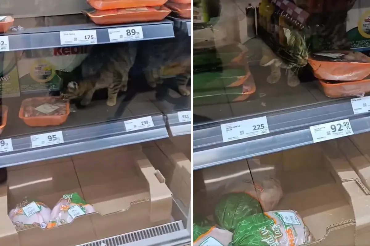 İnsan hayatı bu kadar ucuz mu? Zincir markette çekilen görüntüye bakın