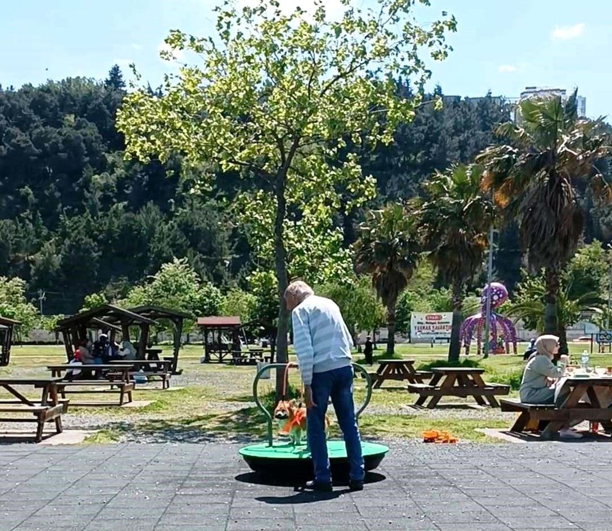 Samsun'da Köpek Eğlencesi: Dönme Dolap ve Salıncak Keyfi