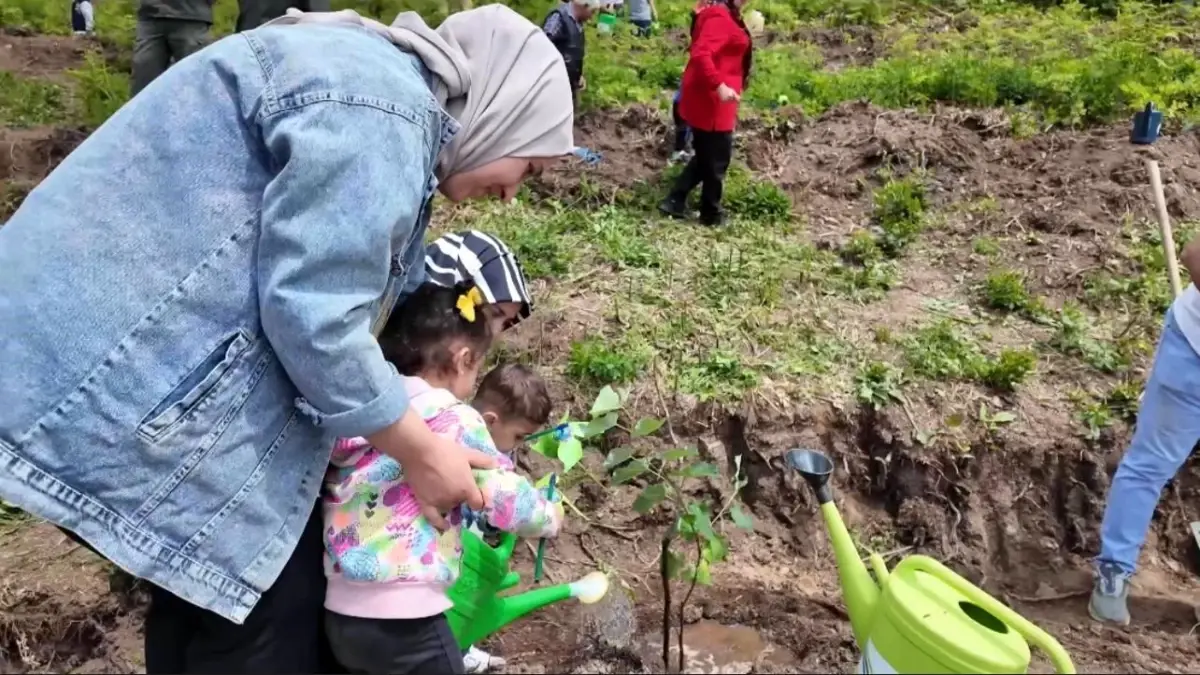 Osmaniye'de Koruyucu Aileler İçin Hatıra Ormanı Açıldı