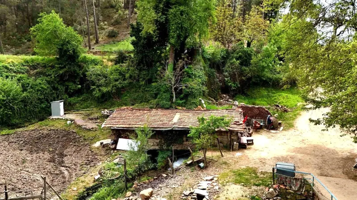 450 Yıllık Su Değirmeni Hala Aktif Moda!